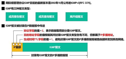 計(jì)算機(jī)網(wǎng)絡(luò)——網(wǎng)絡(luò)層 信息技術(shù)研發(fā)的核心支柱